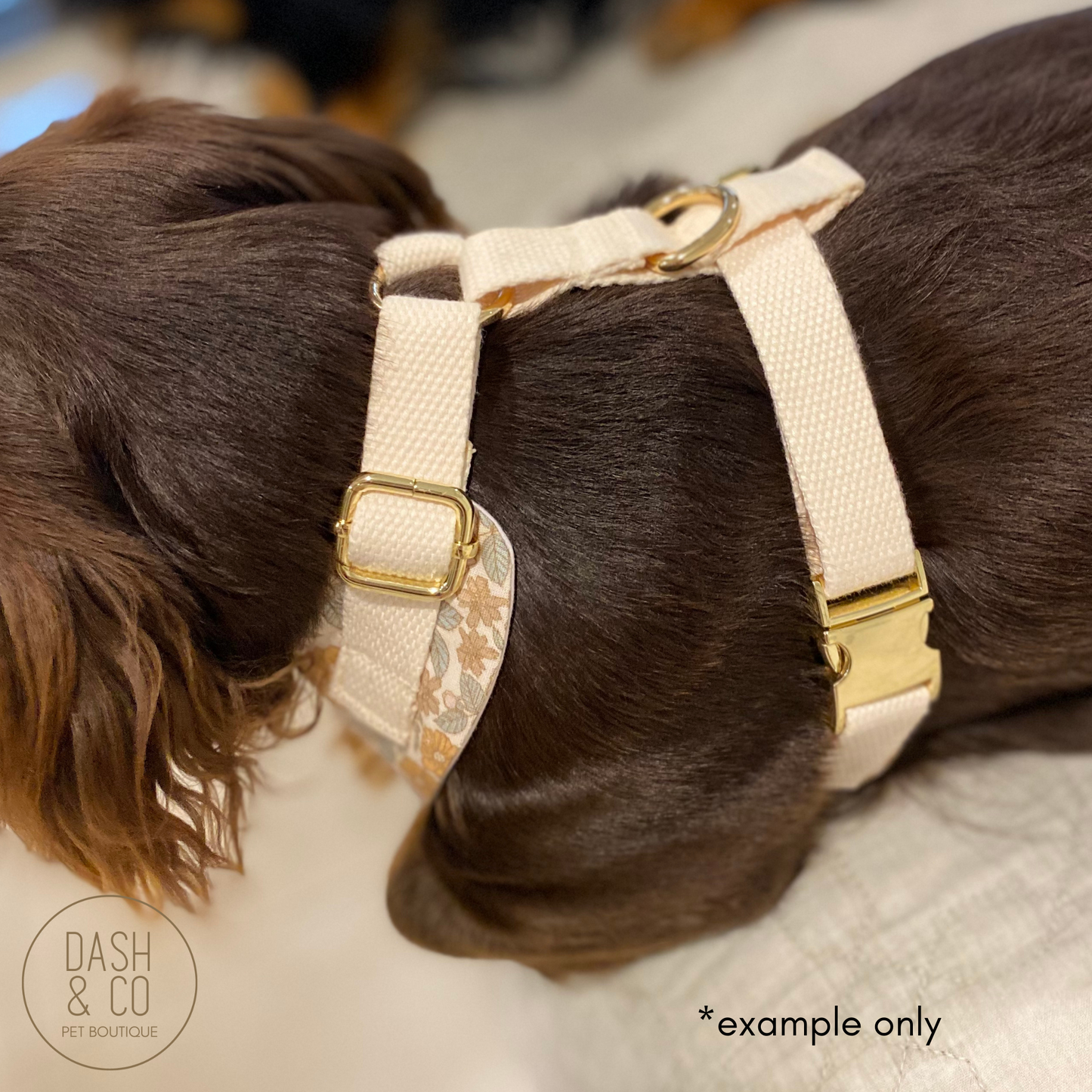 Summer Chest Harness